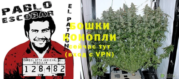 сатива Строитель