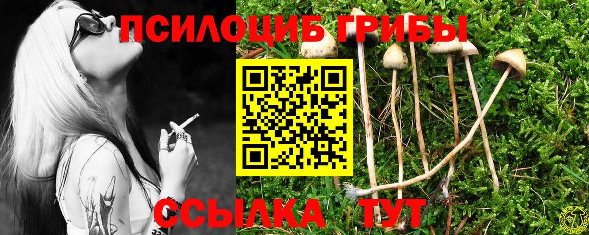 Беслан  Галлюциногенные грибы мухоморы  Псилоцибиновые грибы мицелий  Вход с VPN 