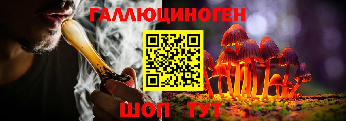 Псилоцибиновые грибы GOLDEN TEACHER Беслан